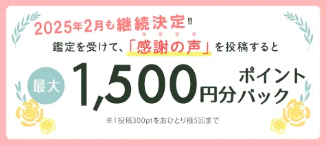 感謝の声を投稿すると最大1,500円分ポイントプレゼント